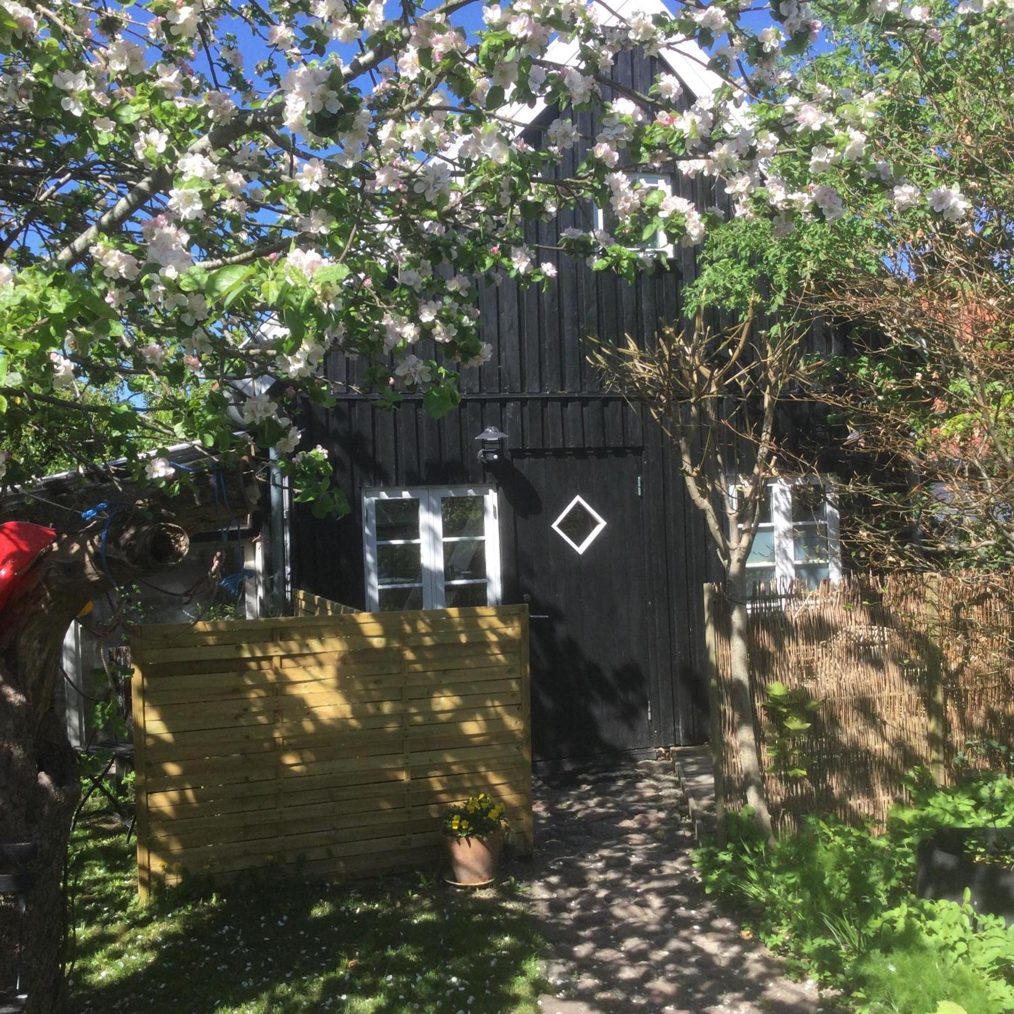 4 Louisenlund Villa Skanderborg Ngoại thất bức ảnh